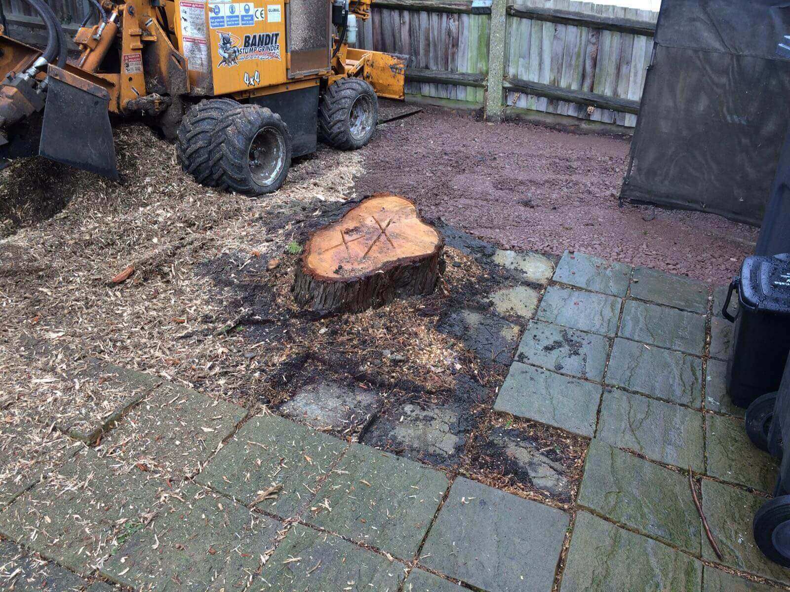 Tree Surgeons Bermondsey SE16/SE1